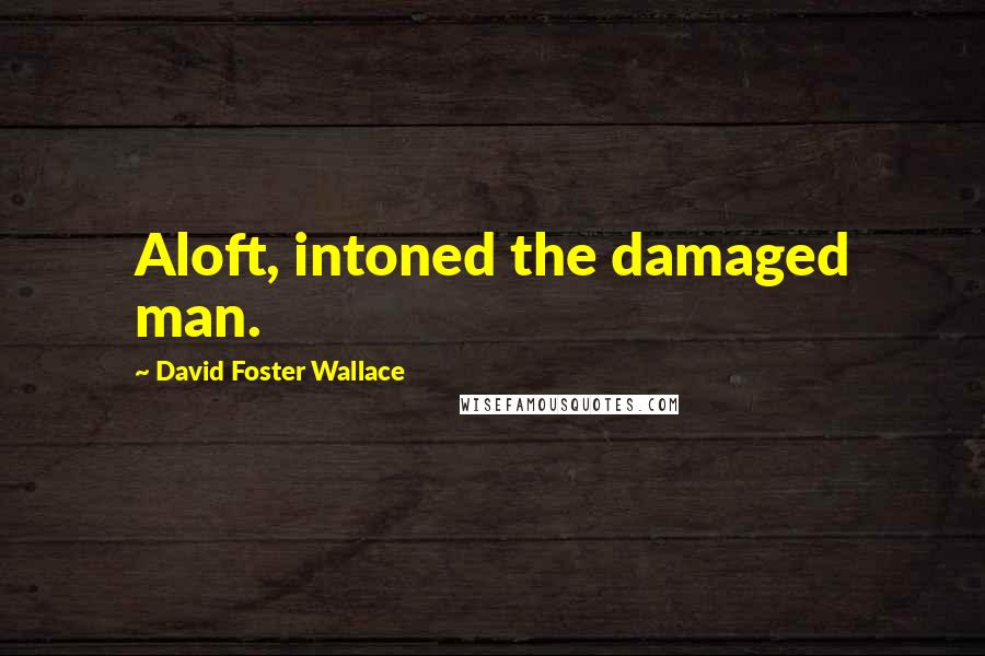 David Foster Wallace Quotes: Aloft, intoned the damaged man.