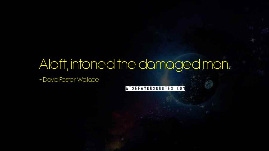 David Foster Wallace Quotes: Aloft, intoned the damaged man.