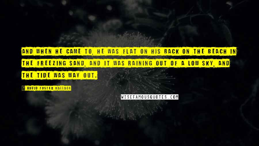 David Foster Wallace Quotes: And when he came to, he was flat on his back on the beach in the freezing sand, and it was raining out of a low sky, and the tide was way out.