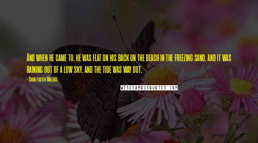 David Foster Wallace Quotes: And when he came to, he was flat on his back on the beach in the freezing sand, and it was raining out of a low sky, and the tide was way out.