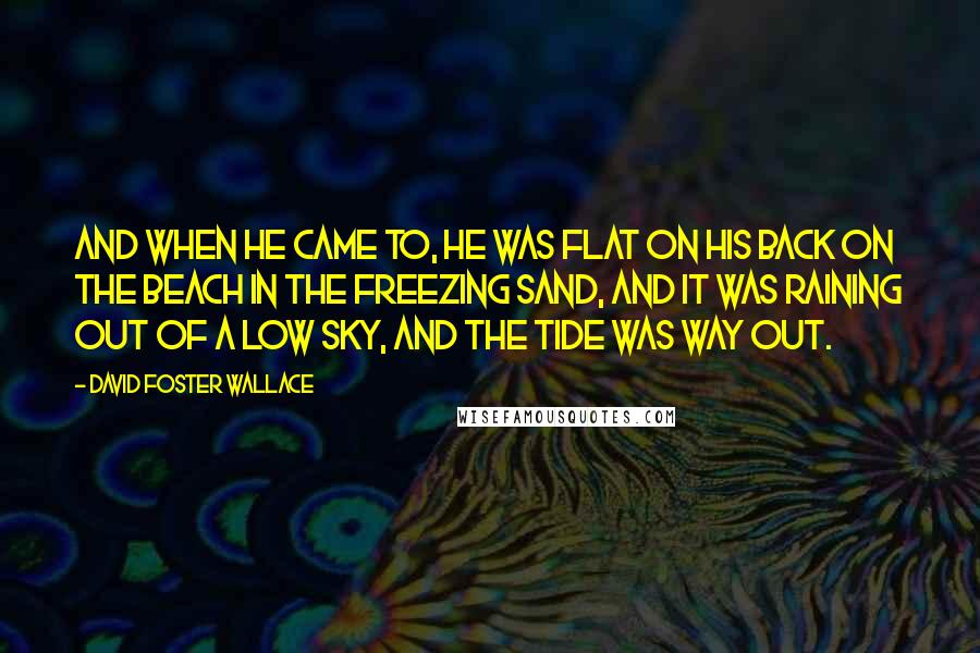 David Foster Wallace Quotes: And when he came to, he was flat on his back on the beach in the freezing sand, and it was raining out of a low sky, and the tide was way out.