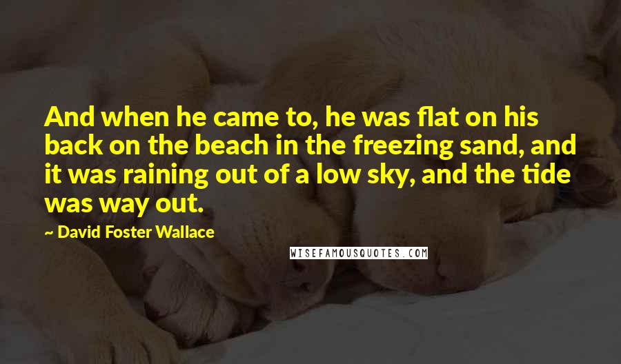 David Foster Wallace Quotes: And when he came to, he was flat on his back on the beach in the freezing sand, and it was raining out of a low sky, and the tide was way out.