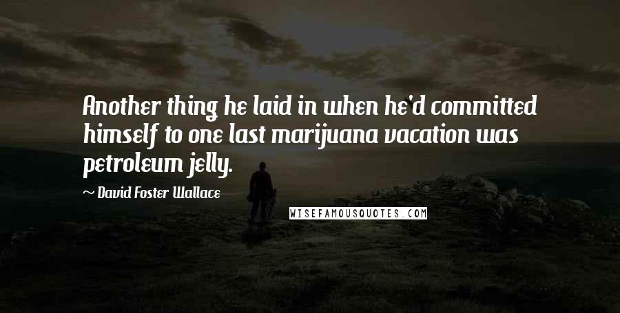 David Foster Wallace Quotes: Another thing he laid in when he'd committed himself to one last marijuana vacation was petroleum jelly.