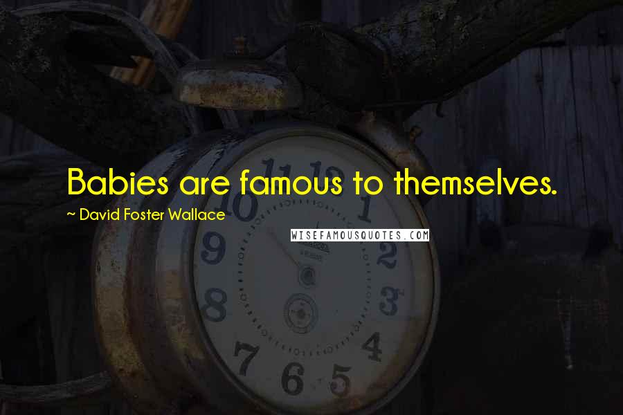 David Foster Wallace Quotes: Babies are famous to themselves.
