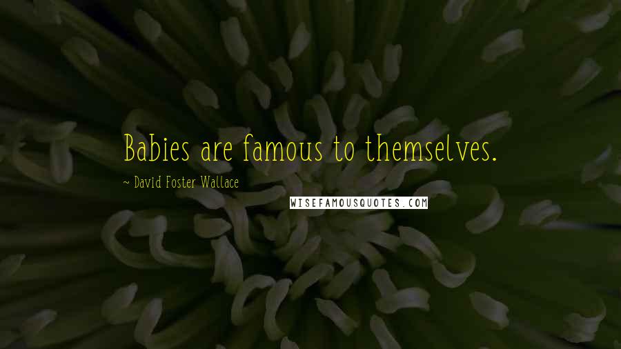 David Foster Wallace Quotes: Babies are famous to themselves.