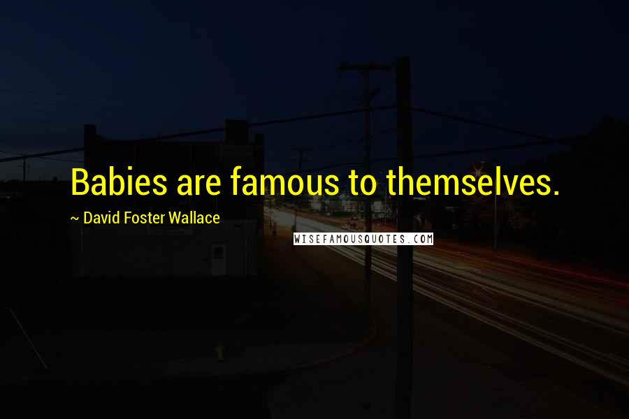 David Foster Wallace Quotes: Babies are famous to themselves.