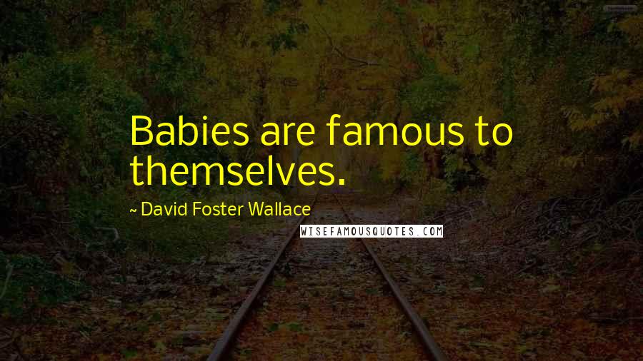 David Foster Wallace Quotes: Babies are famous to themselves.