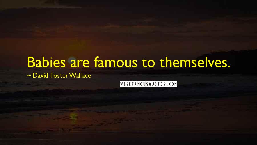 David Foster Wallace Quotes: Babies are famous to themselves.
