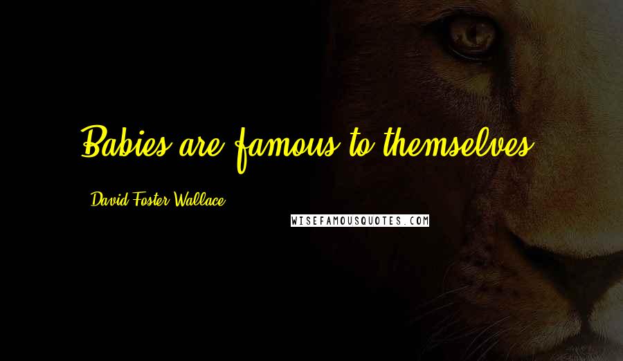 David Foster Wallace Quotes: Babies are famous to themselves.