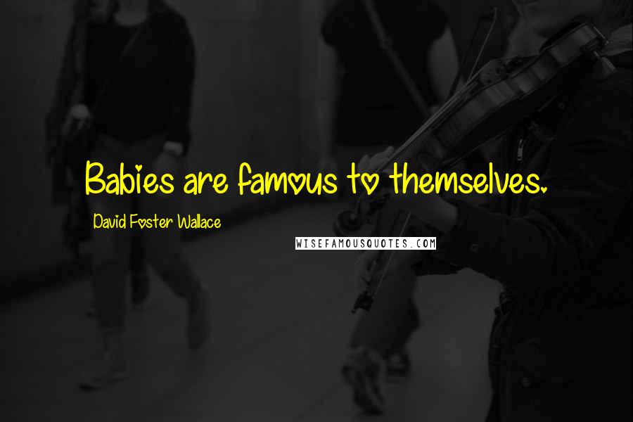 David Foster Wallace Quotes: Babies are famous to themselves.