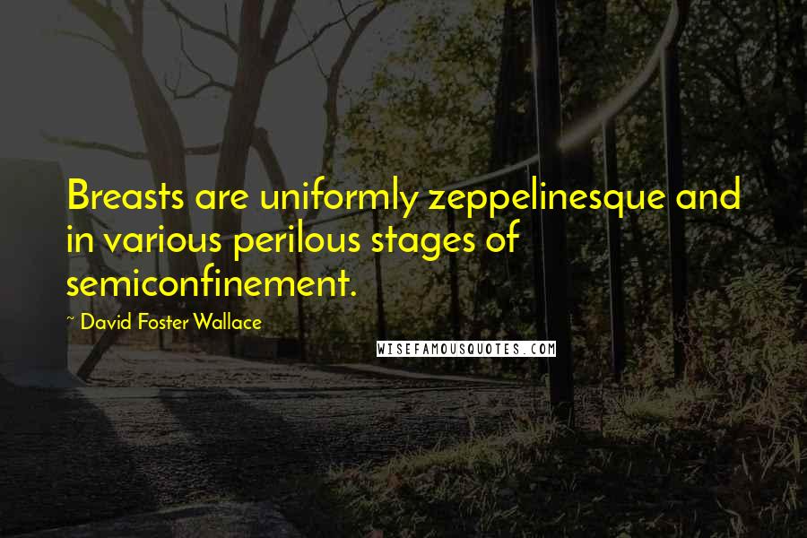 David Foster Wallace Quotes: Breasts are uniformly zeppelinesque and in various perilous stages of semiconfinement.