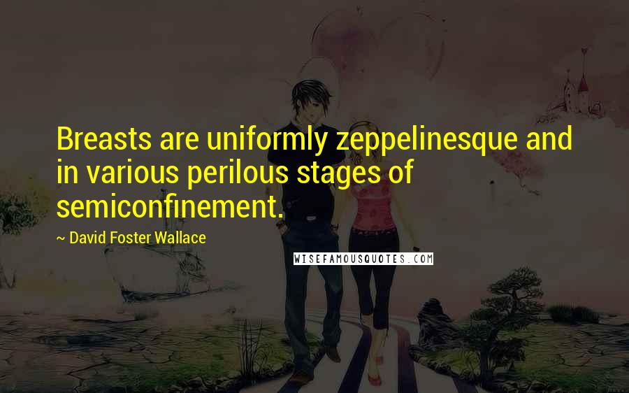 David Foster Wallace Quotes: Breasts are uniformly zeppelinesque and in various perilous stages of semiconfinement.