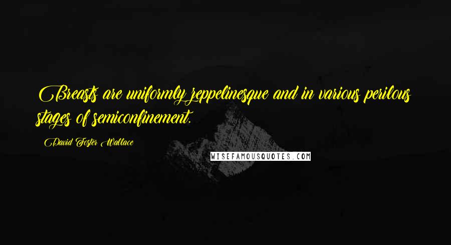 David Foster Wallace Quotes: Breasts are uniformly zeppelinesque and in various perilous stages of semiconfinement.