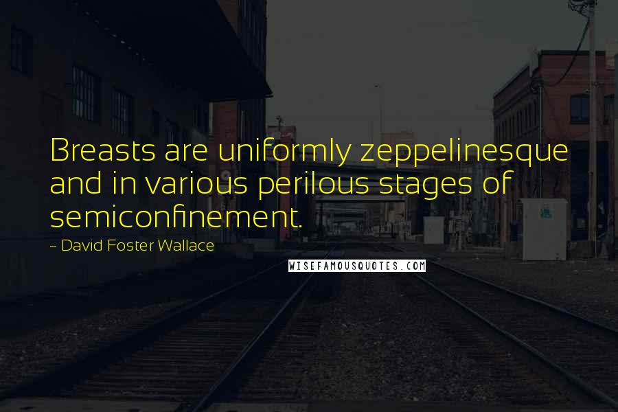 David Foster Wallace Quotes: Breasts are uniformly zeppelinesque and in various perilous stages of semiconfinement.