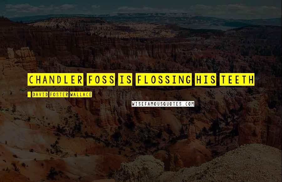 David Foster Wallace Quotes: Chandler Foss is flossing his teeth