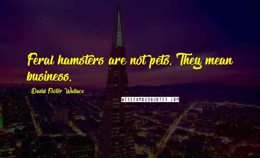 David Foster Wallace Quotes: Feral hamsters are not pets. They mean business.