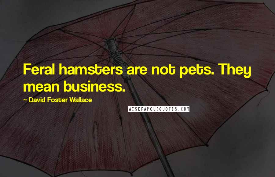 David Foster Wallace Quotes: Feral hamsters are not pets. They mean business.