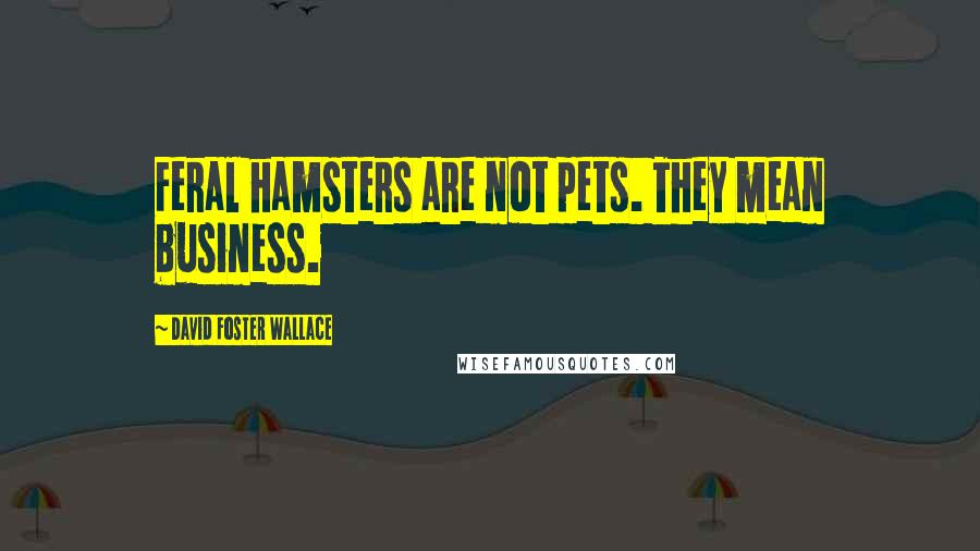 David Foster Wallace Quotes: Feral hamsters are not pets. They mean business.