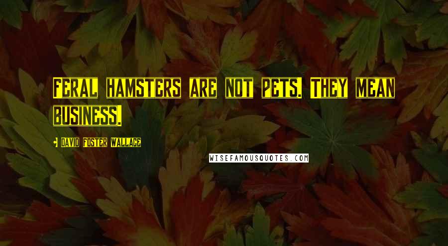 David Foster Wallace Quotes: Feral hamsters are not pets. They mean business.