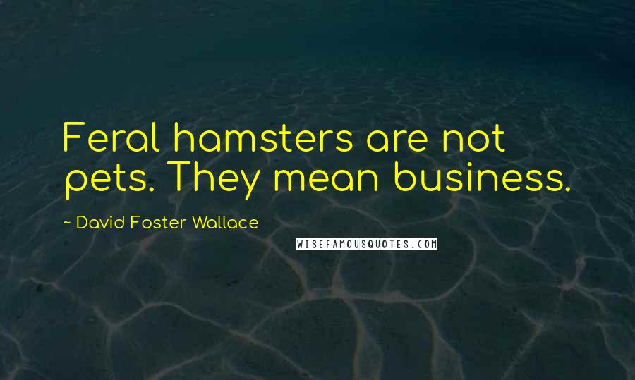 David Foster Wallace Quotes: Feral hamsters are not pets. They mean business.