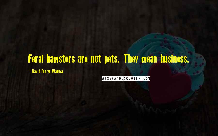 David Foster Wallace Quotes: Feral hamsters are not pets. They mean business.