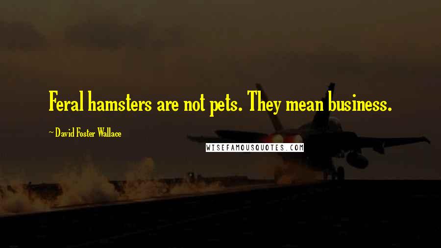 David Foster Wallace Quotes: Feral hamsters are not pets. They mean business.