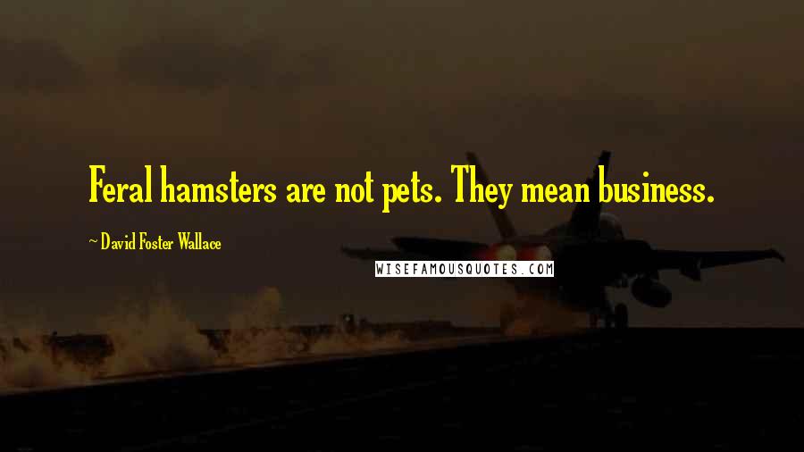 David Foster Wallace Quotes: Feral hamsters are not pets. They mean business.