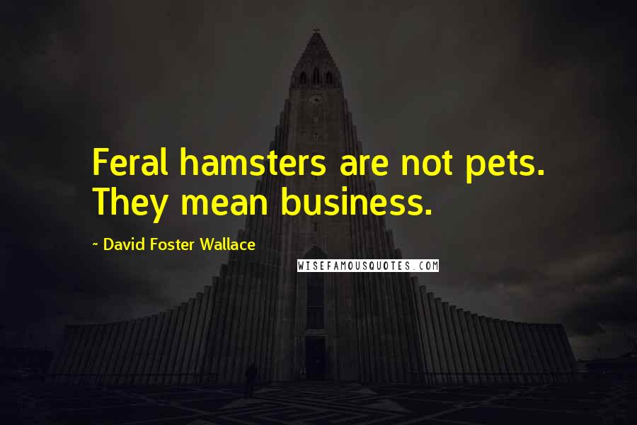 David Foster Wallace Quotes: Feral hamsters are not pets. They mean business.