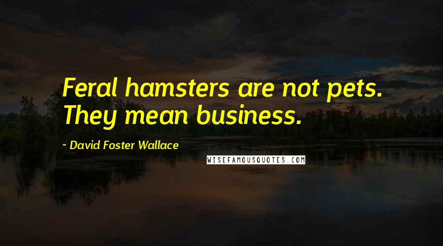 David Foster Wallace Quotes: Feral hamsters are not pets. They mean business.