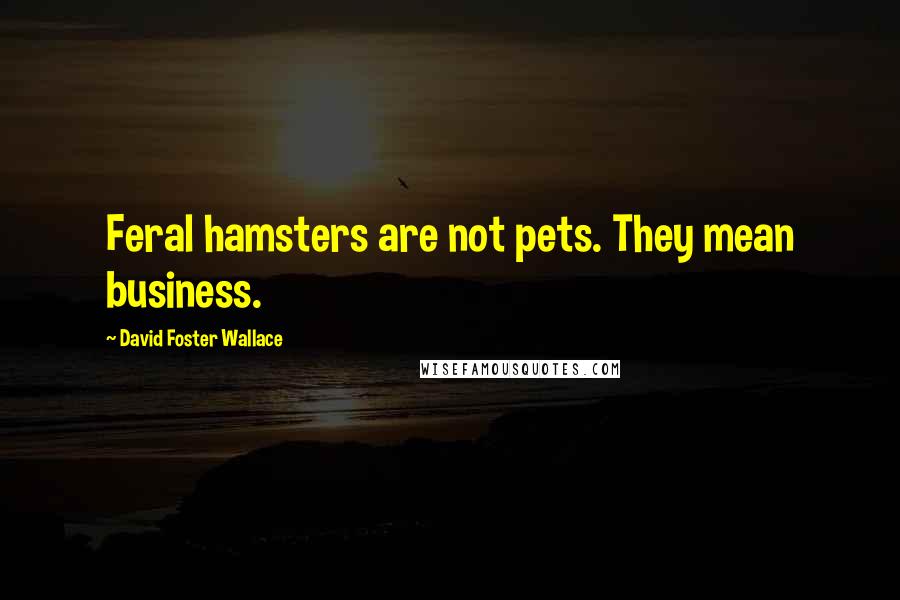 David Foster Wallace Quotes: Feral hamsters are not pets. They mean business.