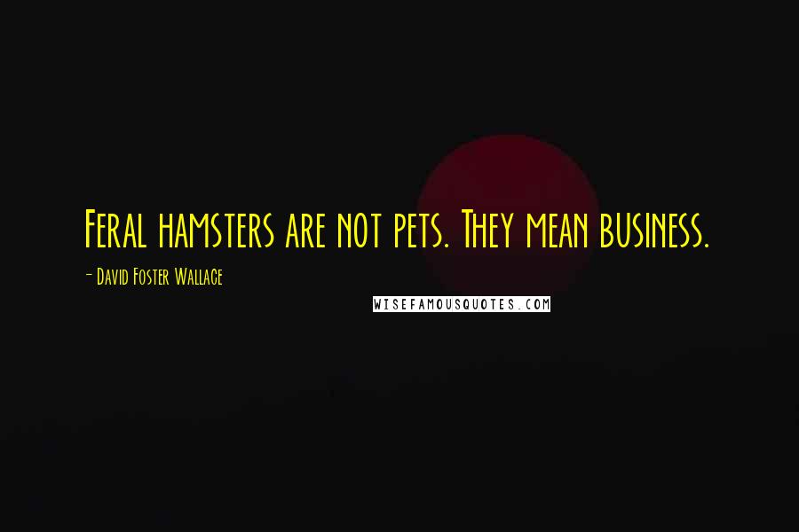 David Foster Wallace Quotes: Feral hamsters are not pets. They mean business.