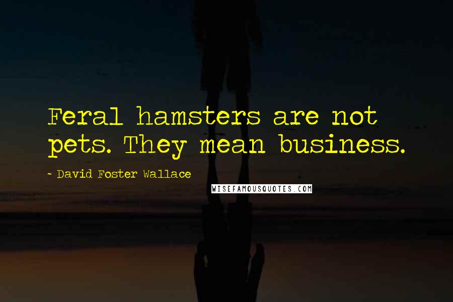 David Foster Wallace Quotes: Feral hamsters are not pets. They mean business.