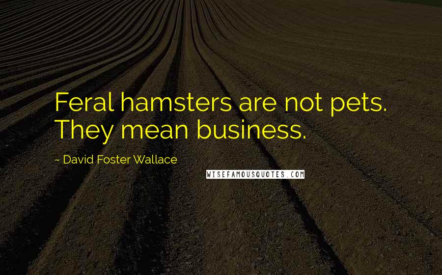 David Foster Wallace Quotes: Feral hamsters are not pets. They mean business.