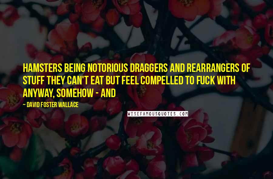 David Foster Wallace Quotes: Hamsters being notorious draggers and rearrangers of stuff they can't eat but feel compelled to fuck with anyway, somehow - and