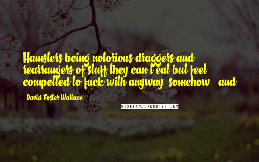 David Foster Wallace Quotes: Hamsters being notorious draggers and rearrangers of stuff they can't eat but feel compelled to fuck with anyway, somehow - and