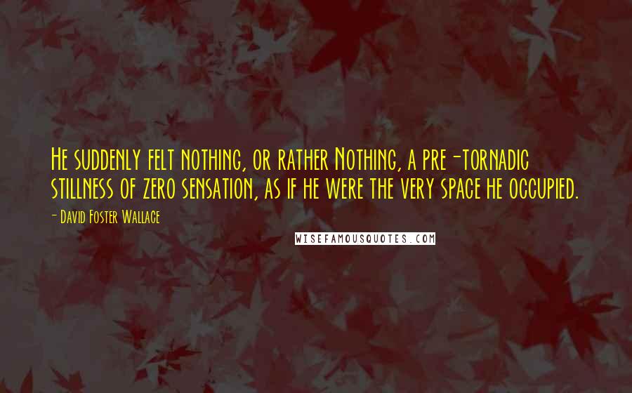 David Foster Wallace Quotes: He suddenly felt nothing, or rather Nothing, a pre-tornadic stillness of zero sensation, as if he were the very space he occupied.