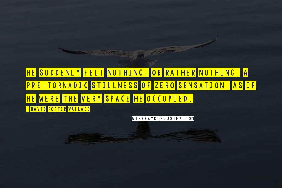 David Foster Wallace Quotes: He suddenly felt nothing, or rather Nothing, a pre-tornadic stillness of zero sensation, as if he were the very space he occupied.
