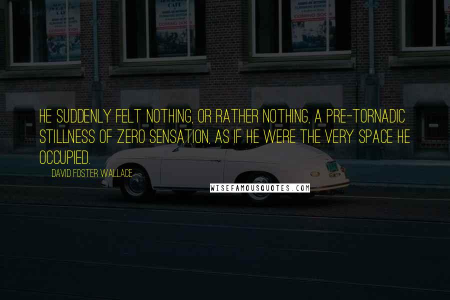 David Foster Wallace Quotes: He suddenly felt nothing, or rather Nothing, a pre-tornadic stillness of zero sensation, as if he were the very space he occupied.