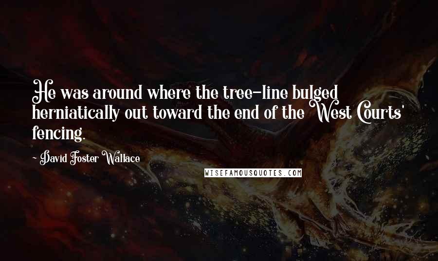 David Foster Wallace Quotes: He was around where the tree-line bulged herniatically out toward the end of the West Courts' fencing.