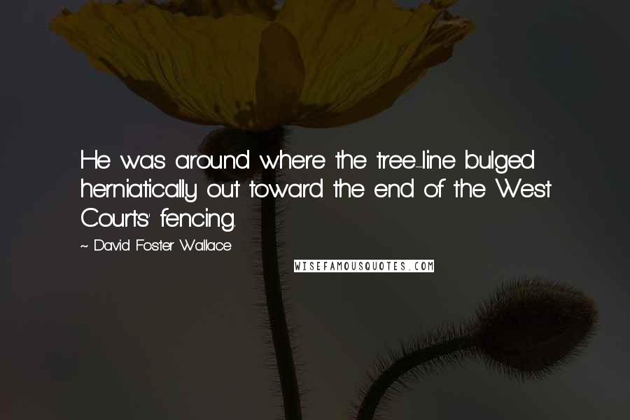 David Foster Wallace Quotes: He was around where the tree-line bulged herniatically out toward the end of the West Courts' fencing.