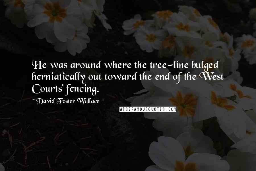 David Foster Wallace Quotes: He was around where the tree-line bulged herniatically out toward the end of the West Courts' fencing.