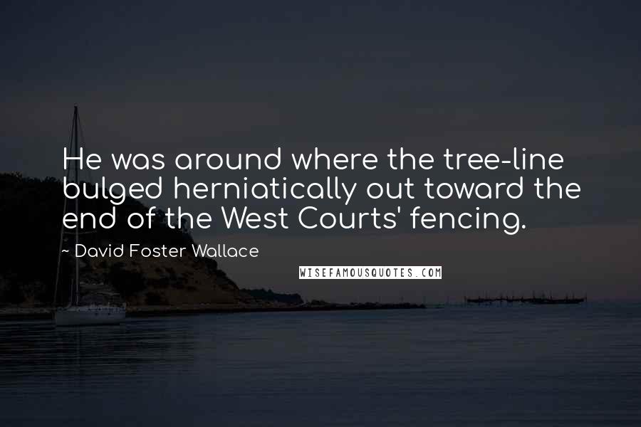 David Foster Wallace Quotes: He was around where the tree-line bulged herniatically out toward the end of the West Courts' fencing.