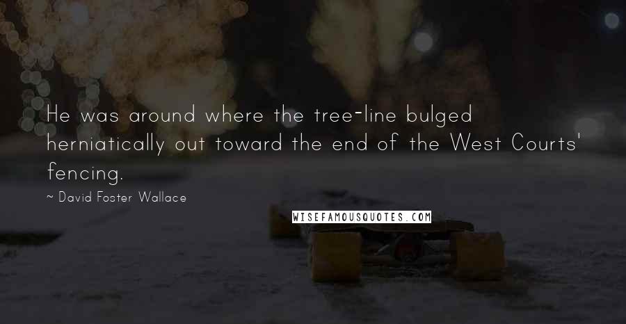 David Foster Wallace Quotes: He was around where the tree-line bulged herniatically out toward the end of the West Courts' fencing.