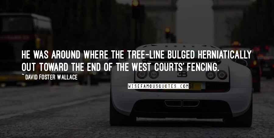 David Foster Wallace Quotes: He was around where the tree-line bulged herniatically out toward the end of the West Courts' fencing.