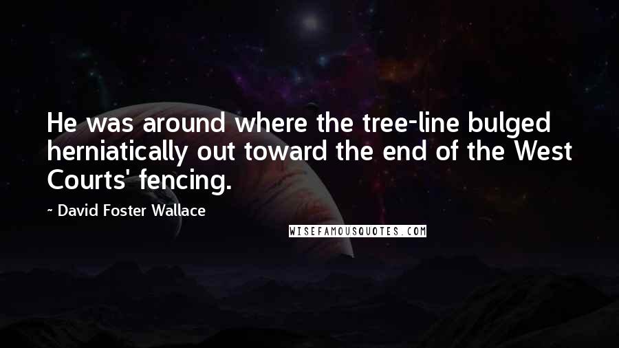 David Foster Wallace Quotes: He was around where the tree-line bulged herniatically out toward the end of the West Courts' fencing.