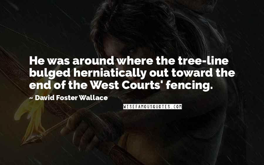 David Foster Wallace Quotes: He was around where the tree-line bulged herniatically out toward the end of the West Courts' fencing.