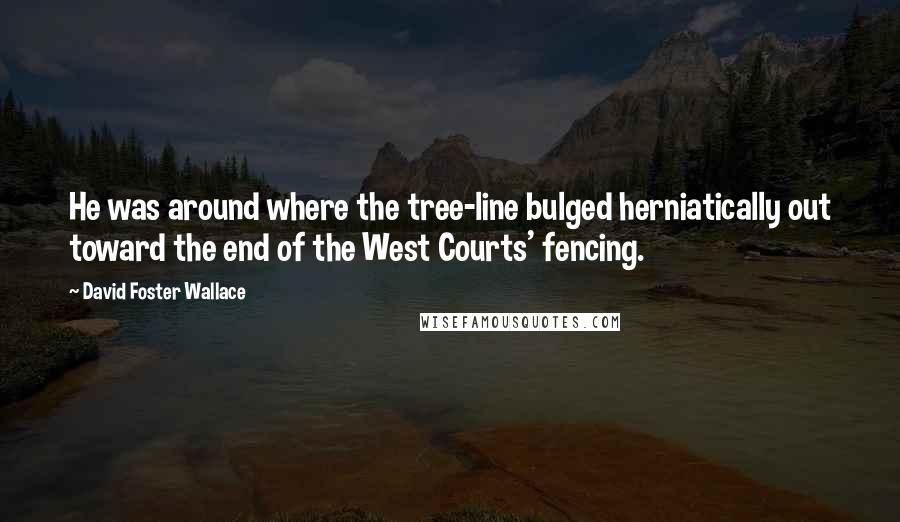 David Foster Wallace Quotes: He was around where the tree-line bulged herniatically out toward the end of the West Courts' fencing.