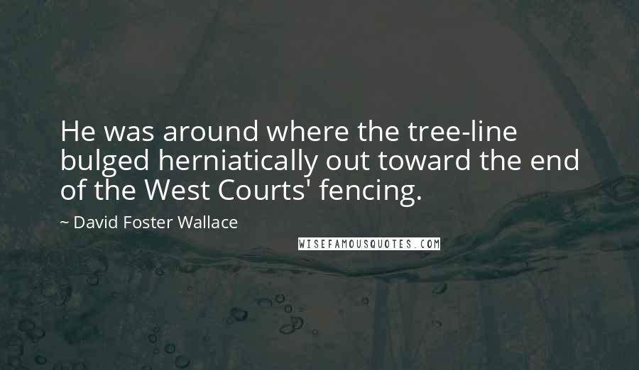 David Foster Wallace Quotes: He was around where the tree-line bulged herniatically out toward the end of the West Courts' fencing.