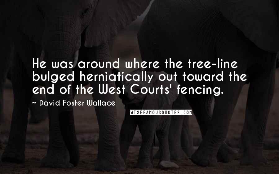David Foster Wallace Quotes: He was around where the tree-line bulged herniatically out toward the end of the West Courts' fencing.