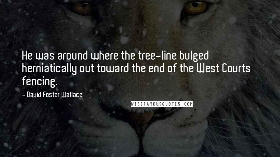 David Foster Wallace Quotes: He was around where the tree-line bulged herniatically out toward the end of the West Courts' fencing.